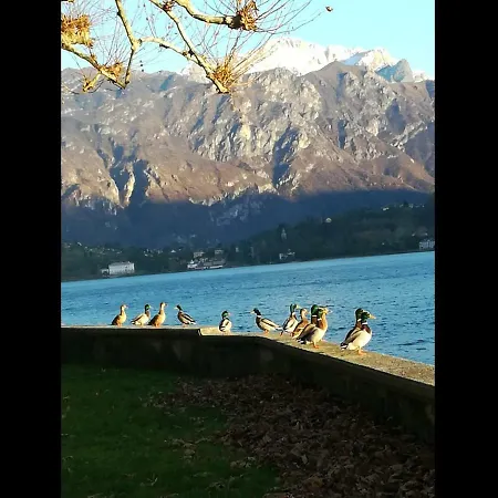 Il Nido Nella Quiete Appartement *